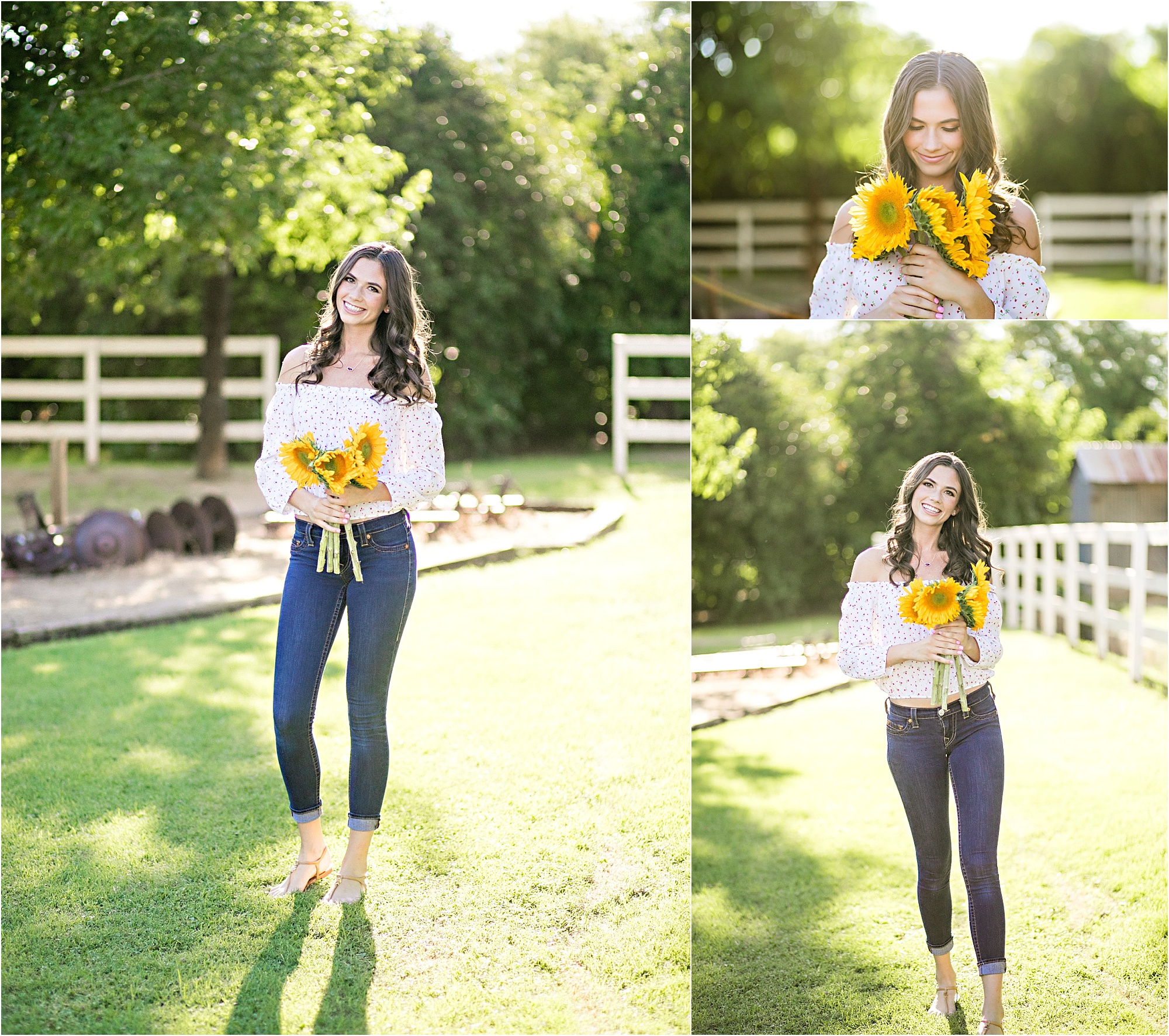 NDP senior, sunflowers, sunny afternoon rural session